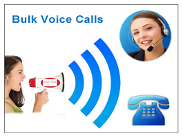 bulk sms service in trichy